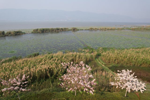 異龍湖是雲南省九大高原湖泊之一，是石屏人民的母親湖，屬省級風景名勝區