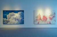 0元看展|提升審美就來川美