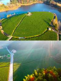 千島湖抹茶莊園｜在綠茶園中體驗日式生活
