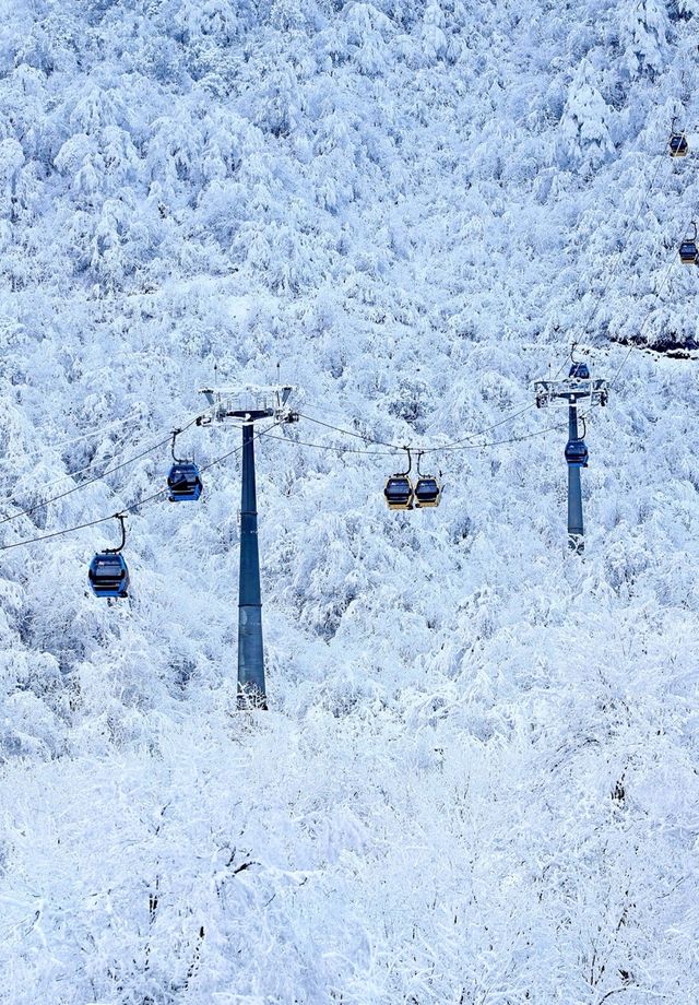 成都近郊的冰雪王國！西嶺雪山！