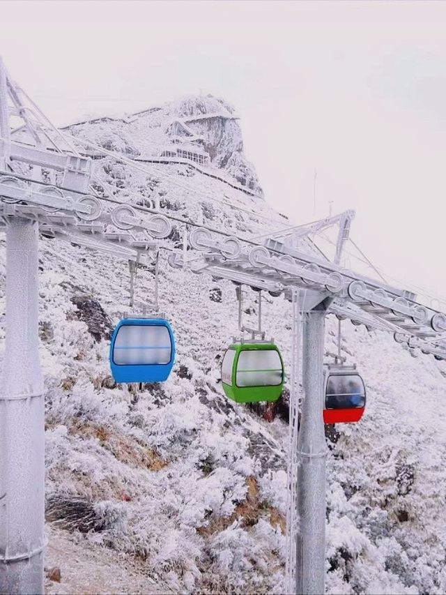 本週下雪不出省！廣東金子山迎來第一場雪