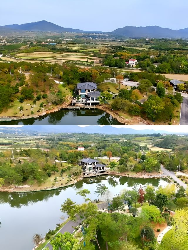 住進風景裡不想走——京山鄉野裡民宿