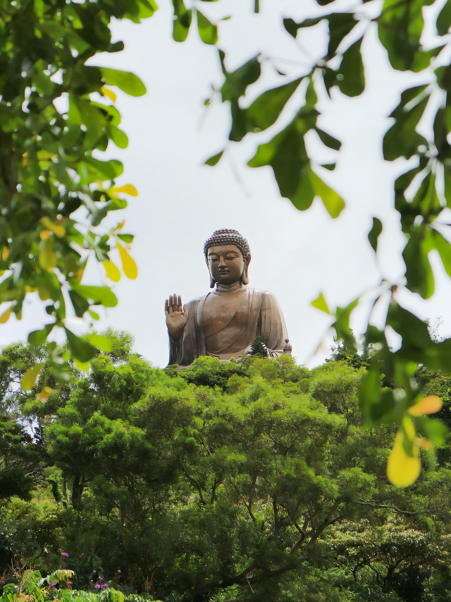 Be Awed by the Lantau Island!