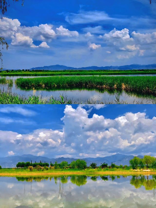 北京野鴨湖濕地公園