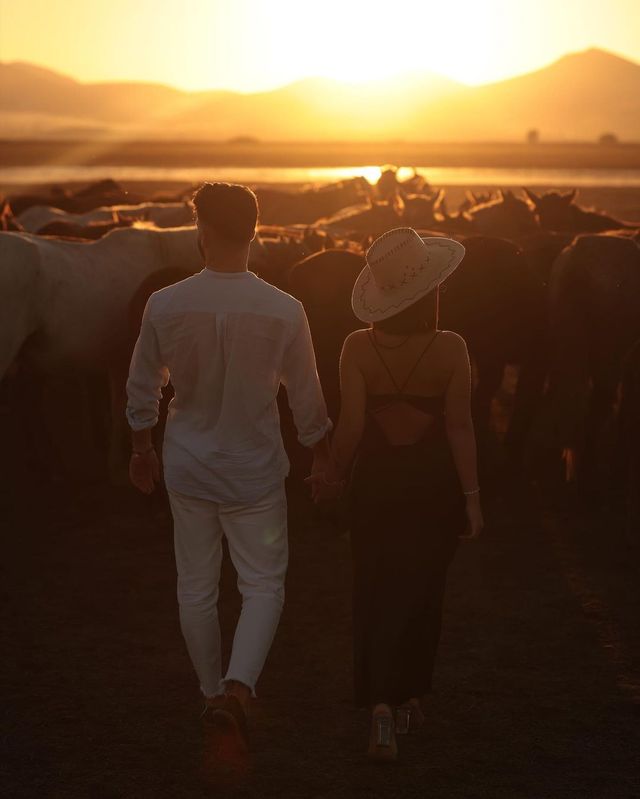 Unleashing the Wild West Vibe at a Turkish Horse Farm with My Lady