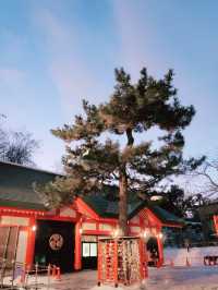  日本小樽必去景點住吉神社白雪配紅色鳥居一定不能錯過