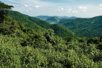 สำรวจอุทยานแห่งชาติเขาใหญ่อันน่าหลงใหล