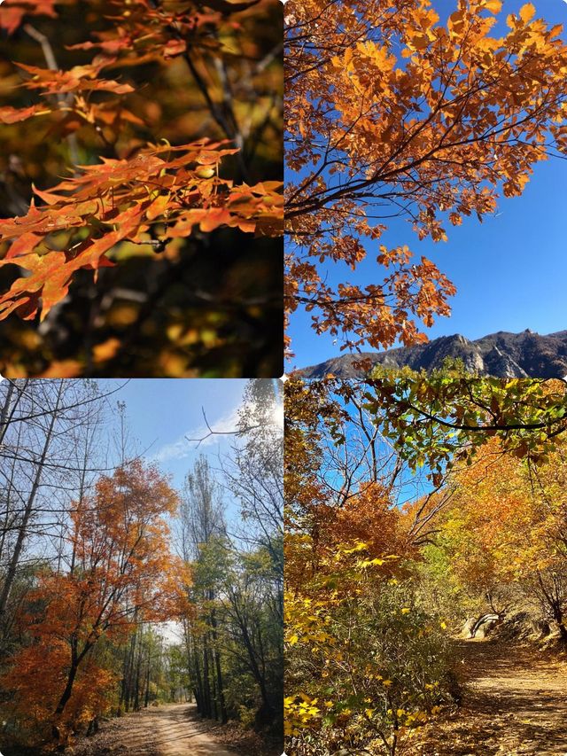 喇叭沟門|京郊最美的秋色（附攻略）