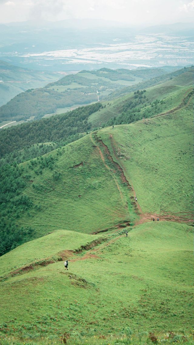 昆明周邊徒步攻略14——尋甸鳳龍山 煙雨矇矇的天氣，在鳳龍山脊徒步也很不錯啊，不過是披上雨衣，走向荒野罷了，還未枯黃的草原，山間彌漫的雨霧，多出了一份別樣的氛圍靜謐感