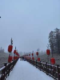 姊妹們！實拍瓦屋山又又又下雪啦