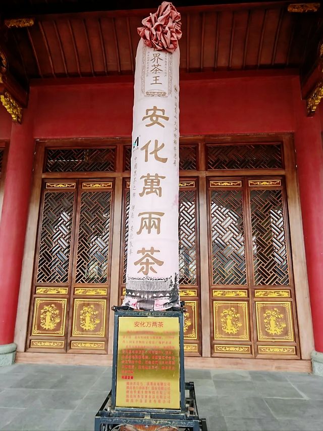 安化中國黑茶博物館，探尋黑茶文化！