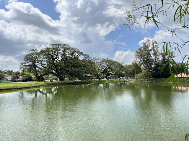 絕美的太平湖和Raintree Walk
