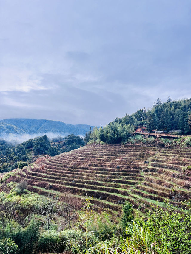 福建漳州｜看土樓，一定要去世界建築奇蹟的田螺坑！