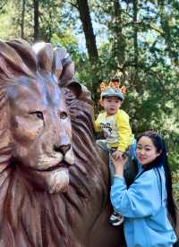 遛娃日記之五刷上海動物園