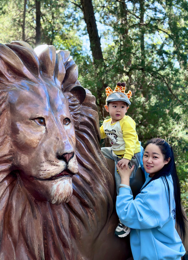 遛娃日記之五刷上海動物園