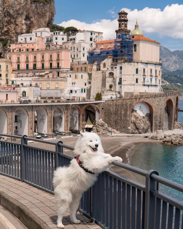 Summer Vibes from the Amalfi Coast in Italy: A Journey Through the Jewel of the Mediterranean!