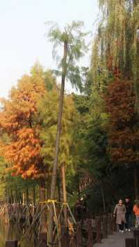 彩雲湖公園 感受綠野仙蹤般的浪漫