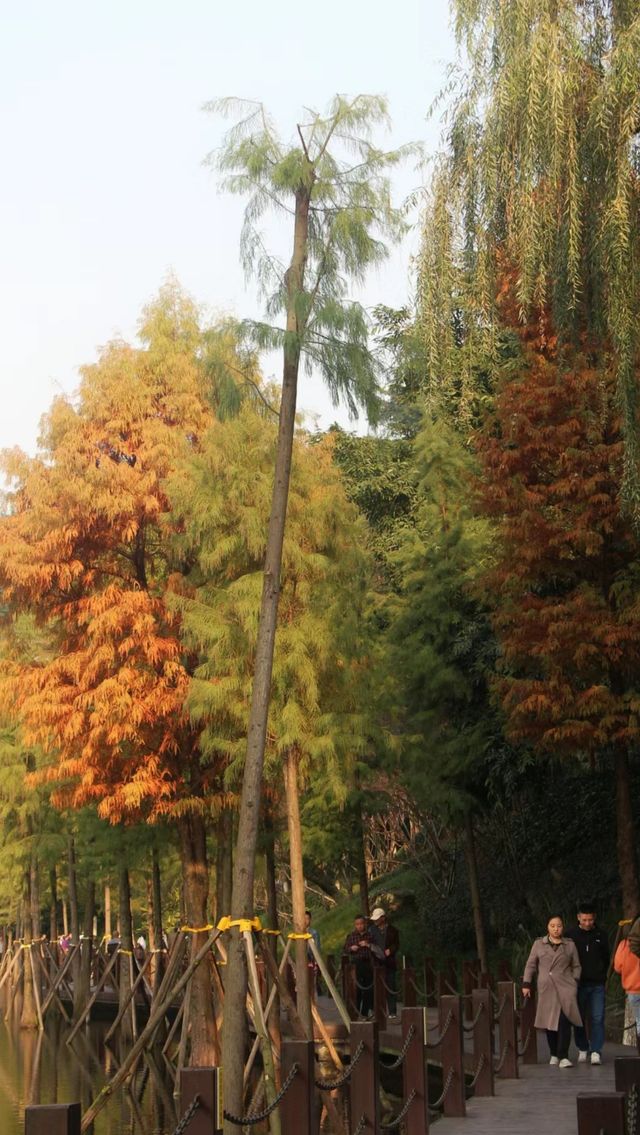 彩雲湖公園 感受綠野仙蹤般的浪漫