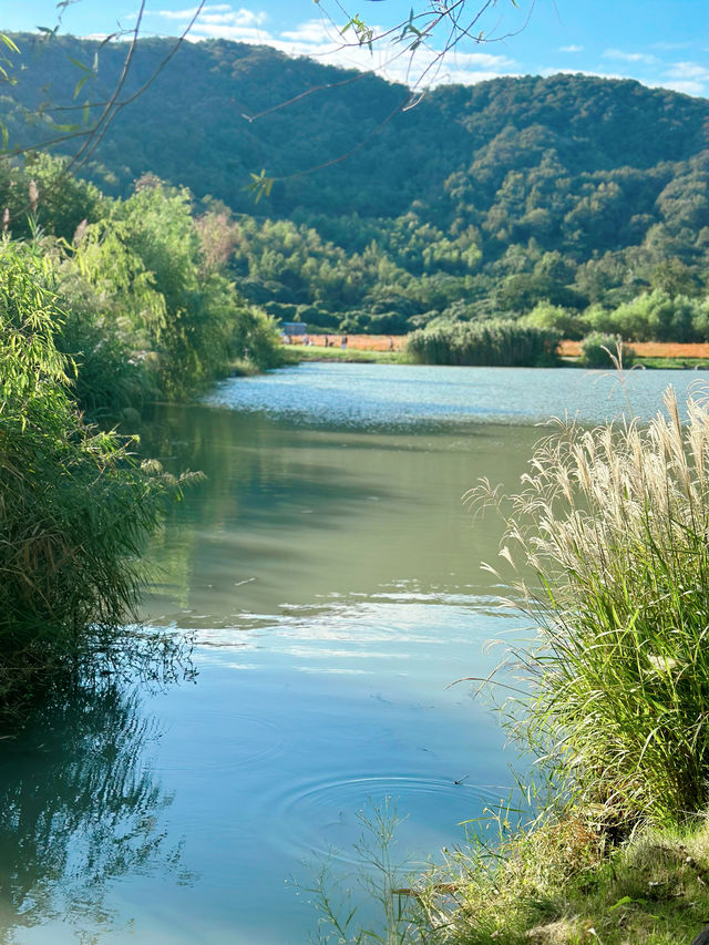 湛藍的湖水，澄澈的天空，你確定不來嗎？