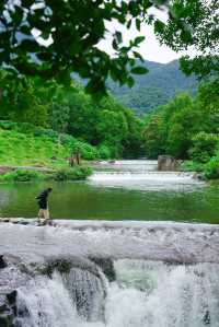 不用去貴州廣州也有絕美綠寶石森林公園~