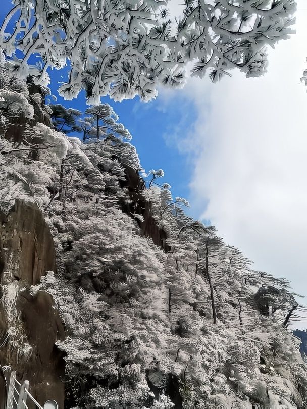 別只盯著東北，三清山的霧凇雪景也超美哒！