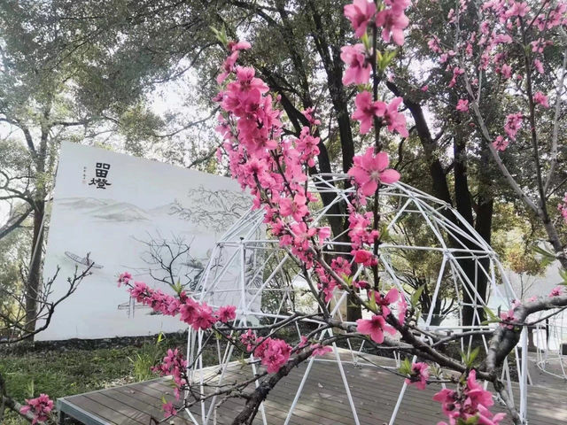 陽春三月，踏青賞花好時節