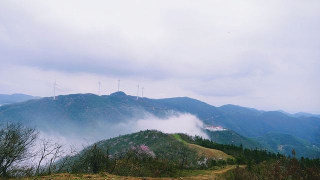 湖北咸寧葛仙山徒步｜感受野櫻肆意生長的美