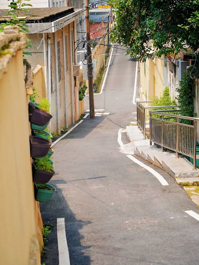 衡陽苗圃保衛裡，新潮網紅拍照打卡地，走進老街老巷探尋城市記憶