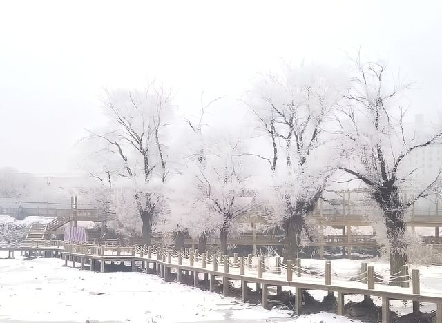 踏雪尋美，這個冬天我在臨洮等你賞雪