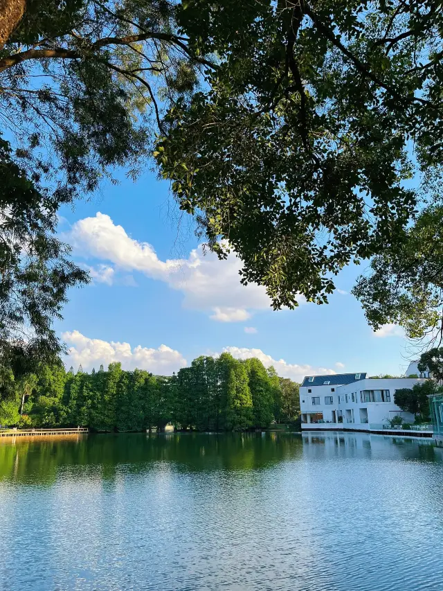 Strolling through the park alone is just too delightful