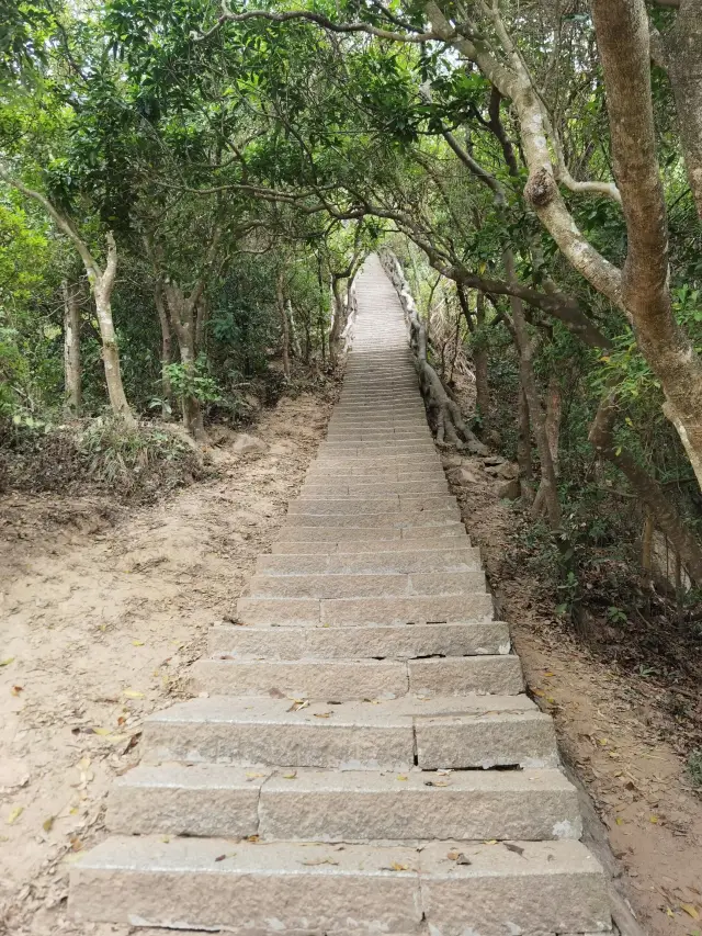 심천 오동산 여행, 등산 탐험, 사진 촬영 성지