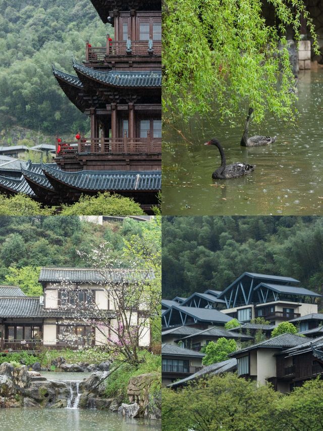 天去葛仙村，能勸一個是一個……