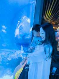 魔都首家空中海洋館趁人少趕緊來溜娃