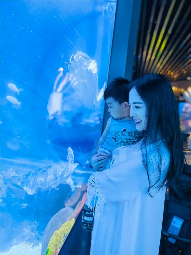 魔都首家空中海洋館趁人少趕緊來溜娃 魔都首家空中海洋館趁人少趕緊來溜娃