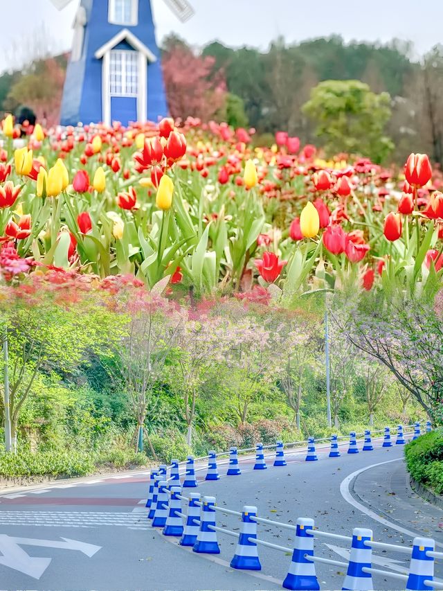 重慶周邊的這 10 個地方，藏著超美的花花世界~