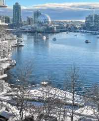 溫哥華冬日秘境：雪舞松間，夜韻如詩