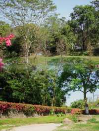 廣州樹木公園：地鐵直達的綠色秘境，探索原始森林之美