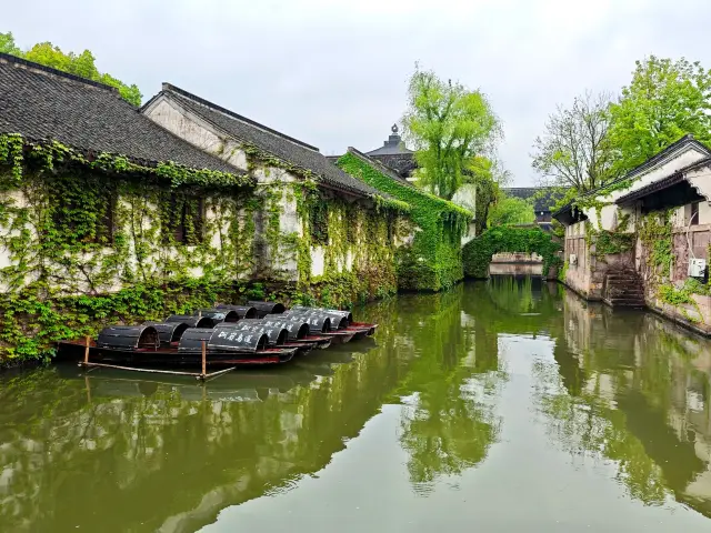 春の季節にある柯岩景区