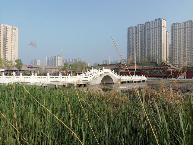 東明萬福公園，好看不？