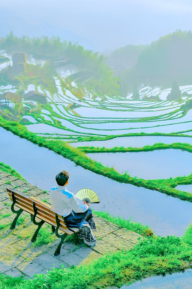 真後悔！沒早點來麗水！絕美雲海日出太浪漫