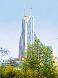 人民公園，你玩真花啊