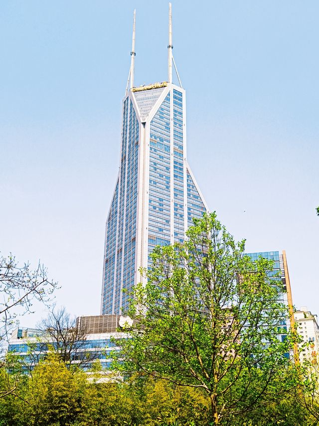 人民公園，你玩真花啊
