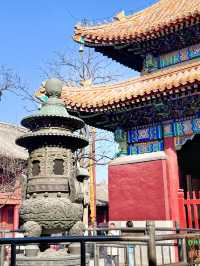 北京的雍和宫有多美！
