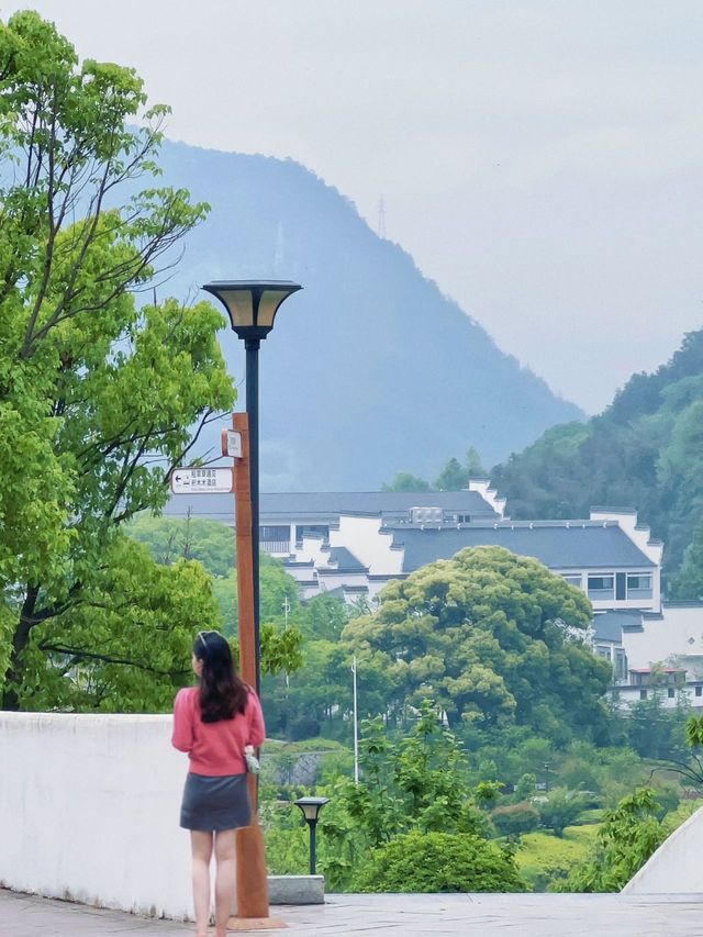 雲海梯田！！坐上纜車去喝雲端咖啡