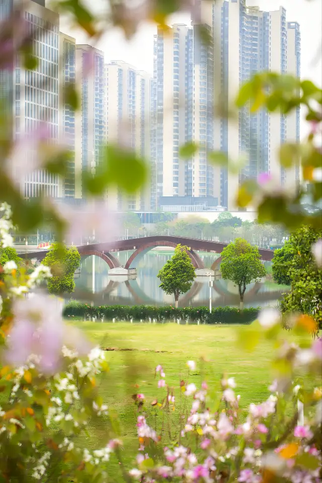 Foshan | The 20-minute park theory is real