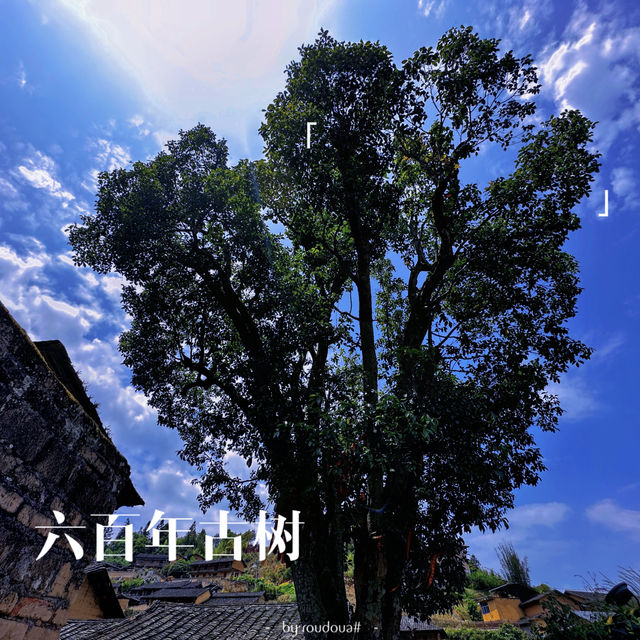 32｜相機裡的人文風景～桂峰古村，福建的秘境小婺源