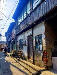 三景區聯動，羅店鎮也有它的旅遊優勢