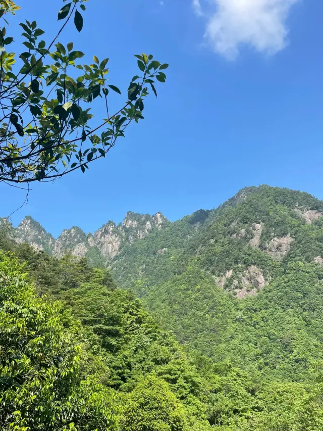大口吸氧 清新自然