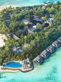 🌟 Maldives Magic: Luxe Stays at Taj Coral Reef! 🌊
