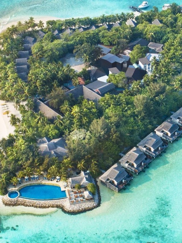 🌟 Maldives Magic: Luxe Stays at Taj Coral Reef! 🌊